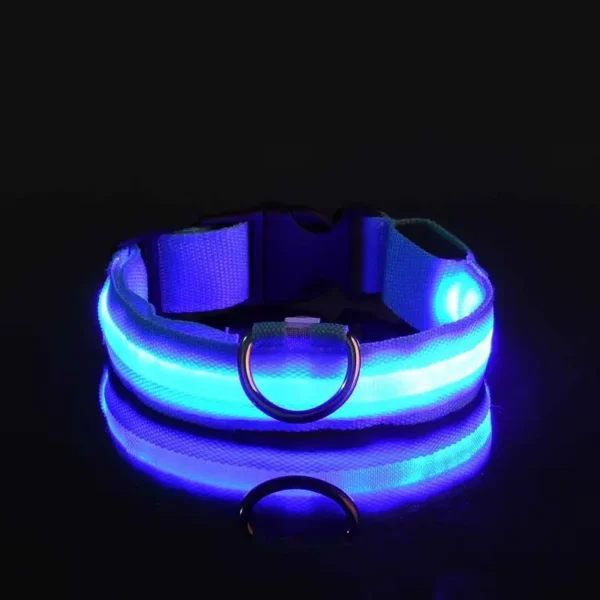 Collar LED para mascota - Azul