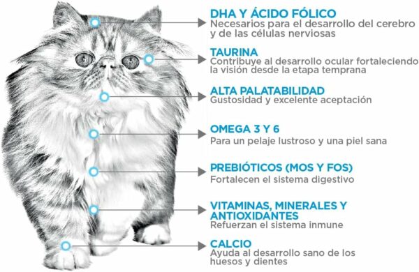 NUPEC FELINO KITTEN 1.5 Kg - Imagen 2