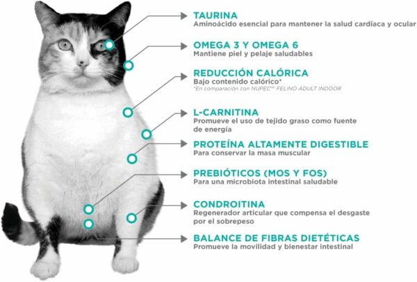 NUPEC FELINO WEIGHT CARE 1.5 Kg - Imagen 2