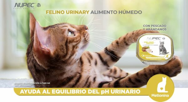 NUPEC LATA FELINO URINARY 100 GR - Imagen 2