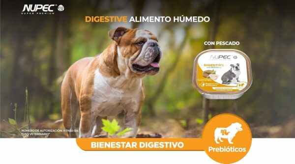 NUPEC LATA DIGESTIVE 100 GR - Imagen 2